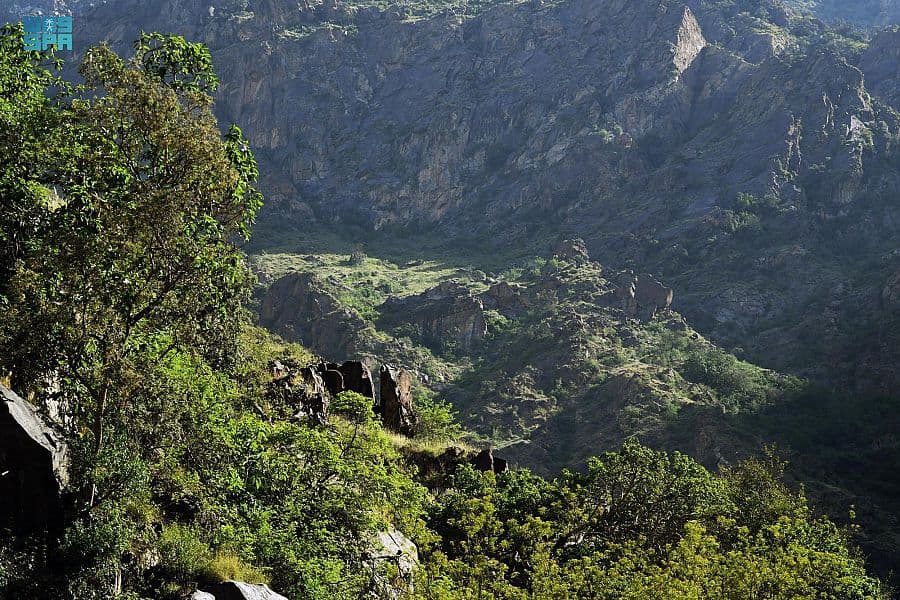 قرى المجاردة .. طبيعة بكر ألبستها الأمطار حلة خضراء 