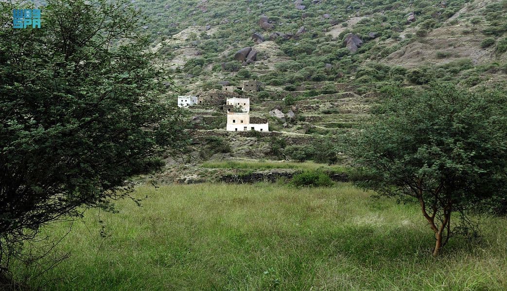 قرى المجاردة .. طبيعة بكر ألبستها الأمطار حلة خضراء 