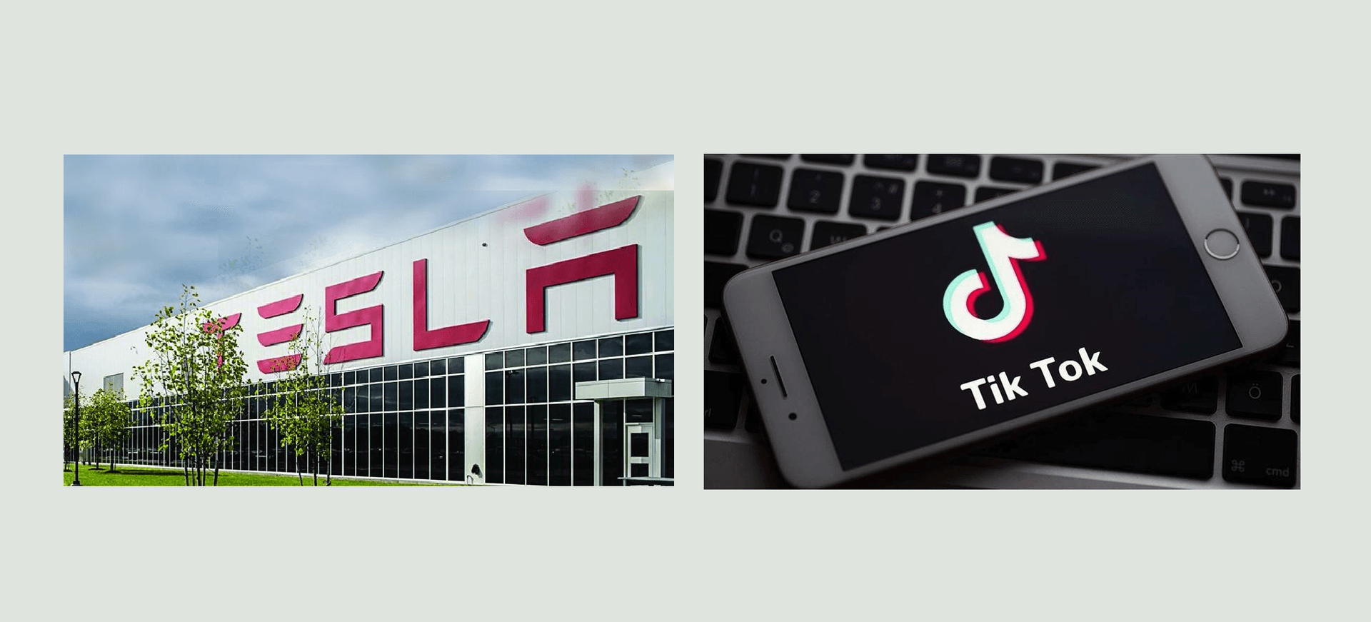 "تيسلا" و "تيك توك" بين أسرع الشركات نموا في 2020