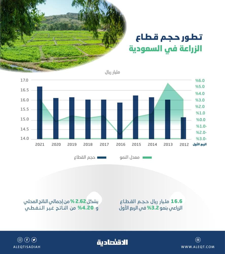 16.6 مليار ريال حجم النشاط الزراعي السعودي في الربع الأول .. نما 3.2 %