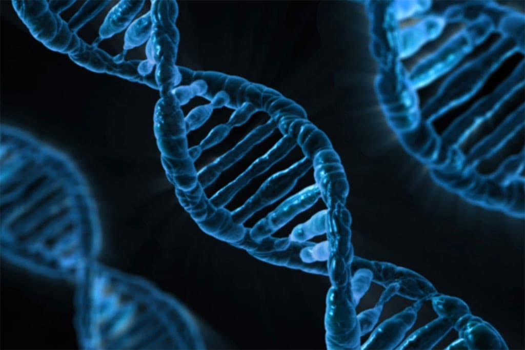 منظمة الصحة العالمية تسعى إلى كبح التلاعب بالمجين البشري 