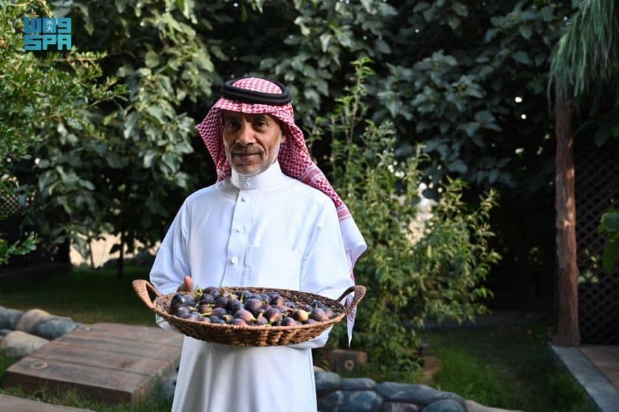 السياحة الزراعية في مرتفعات الباحة وأبها والطائف الخيار الأفضل للراحة والهدوء