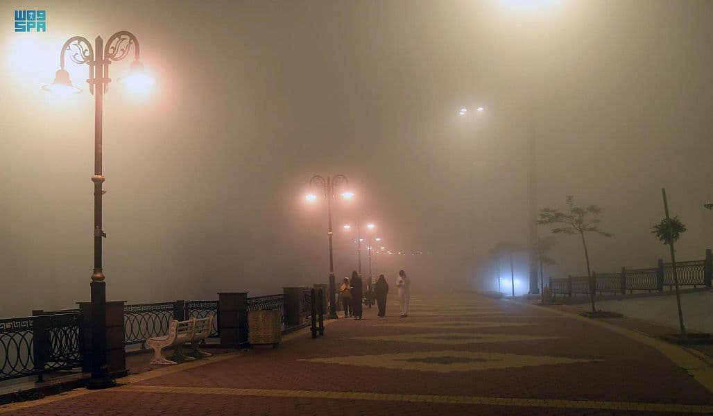 ممشى الضباب.. أعجوبة السياحة في عسير