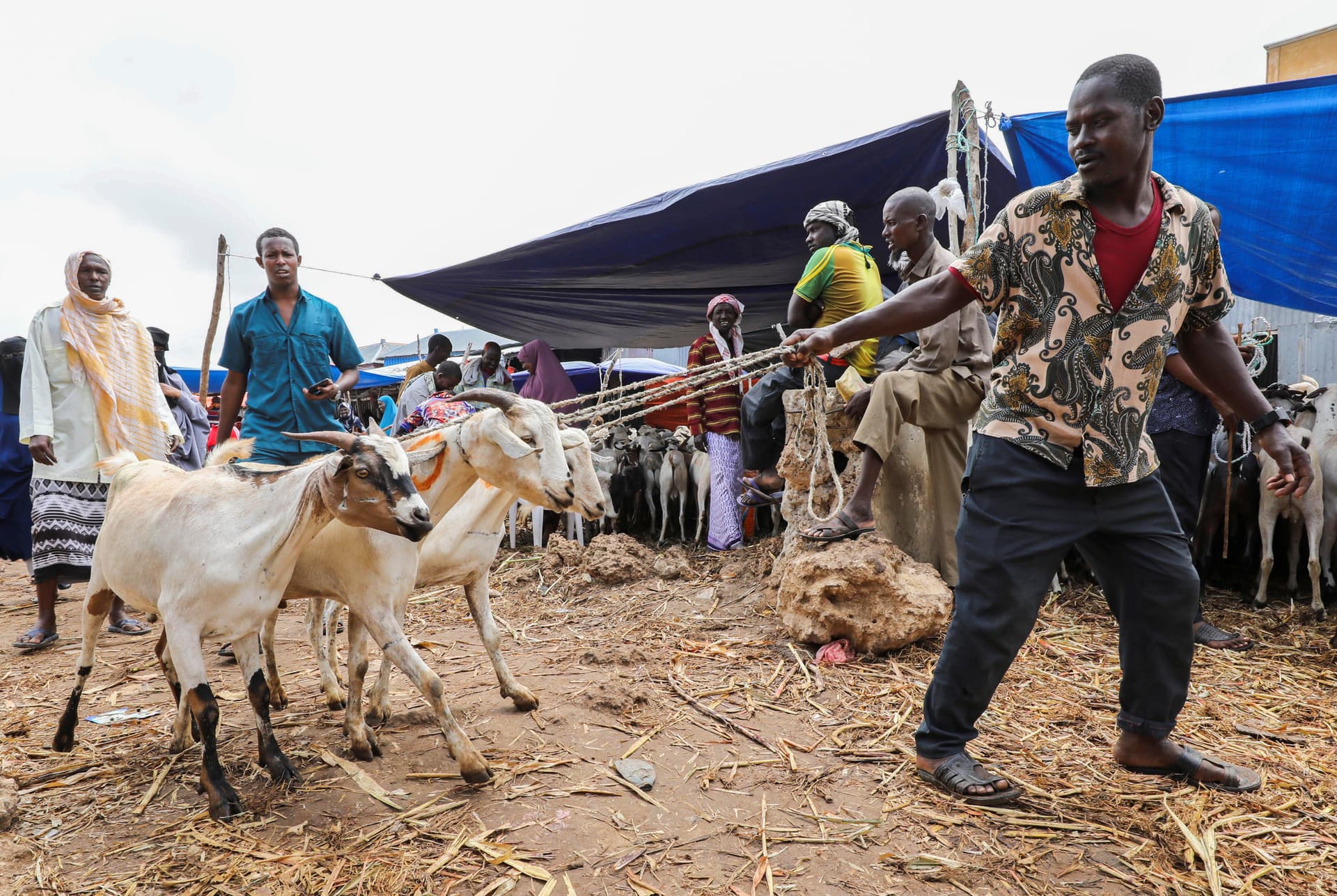   المسلمون يحتفلون بأول أيام عيد الأضحى 
