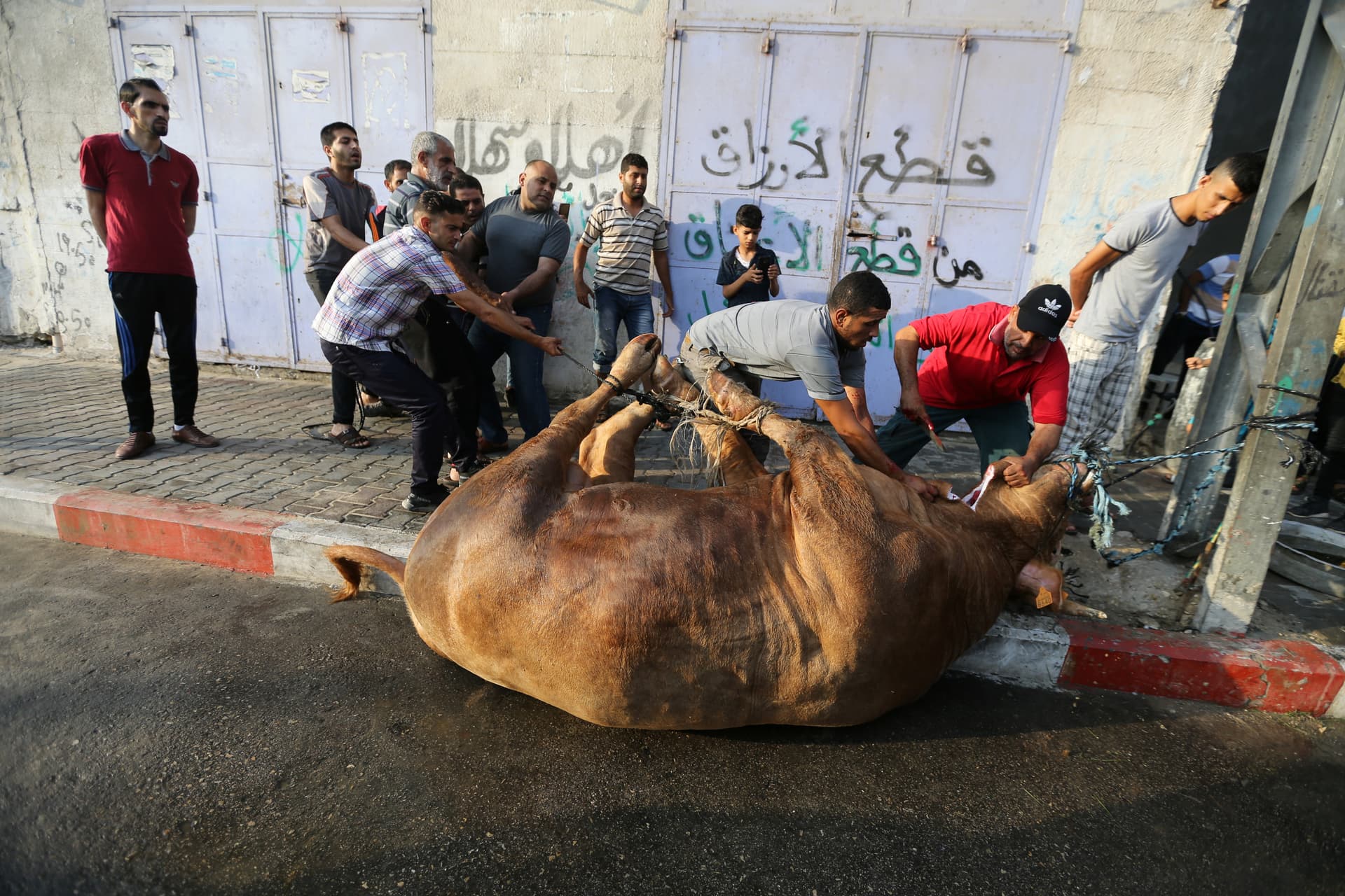   المسلمون يحتفلون بأول أيام عيد الأضحى 