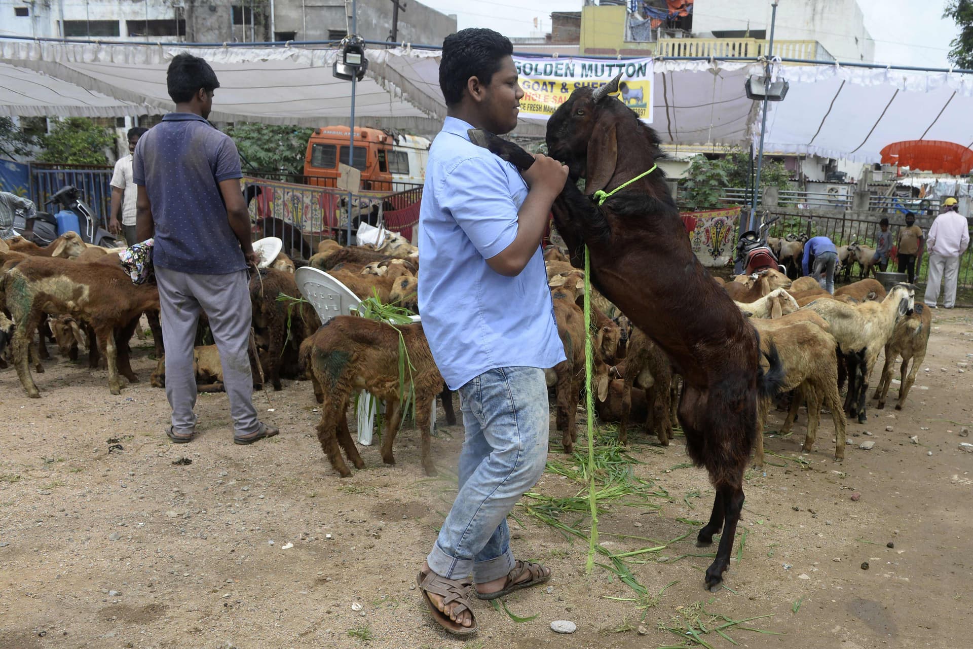   المسلمون يحتفلون بأول أيام عيد الأضحى 