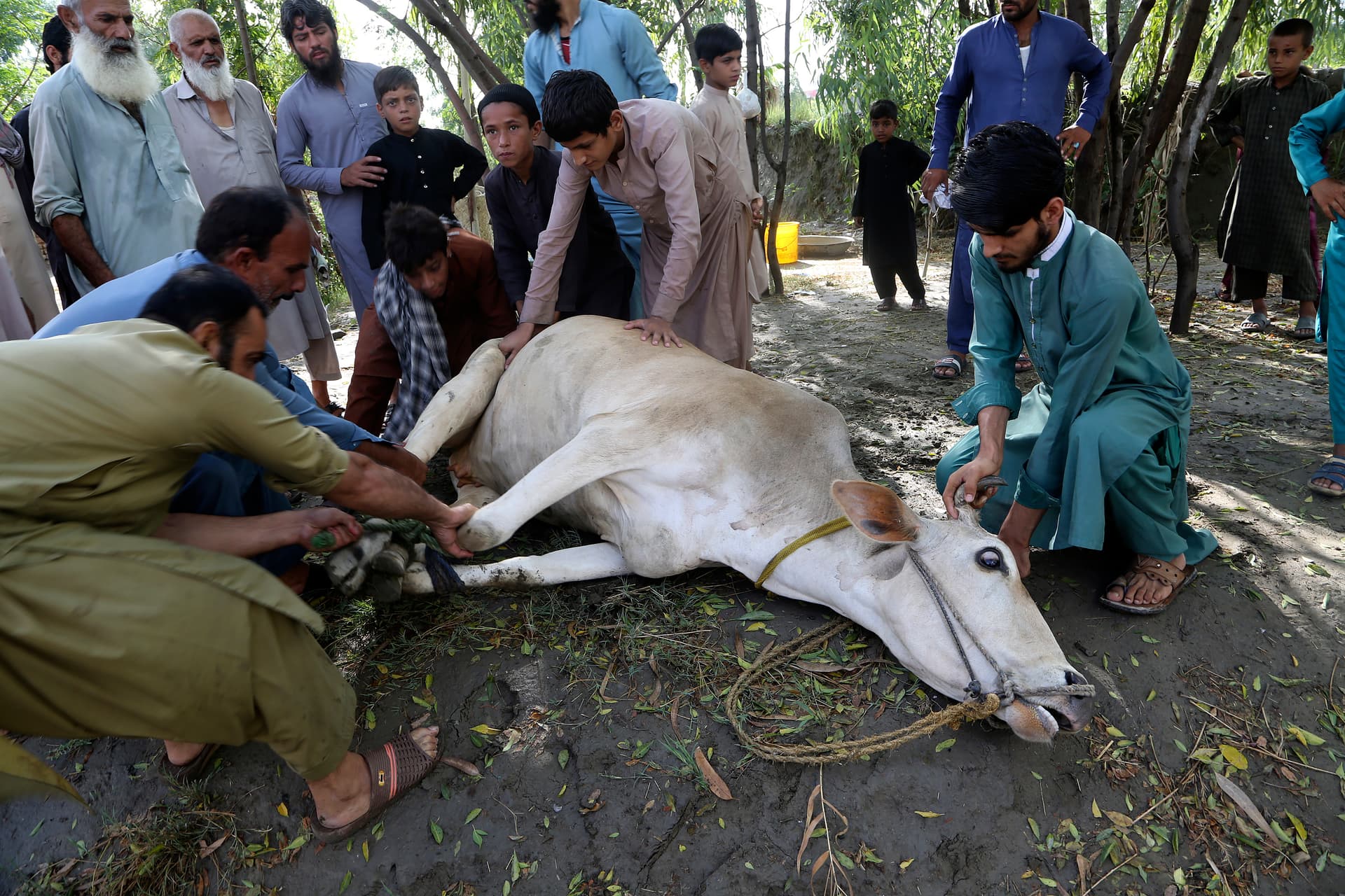   المسلمون يحتفلون بأول أيام عيد الأضحى 