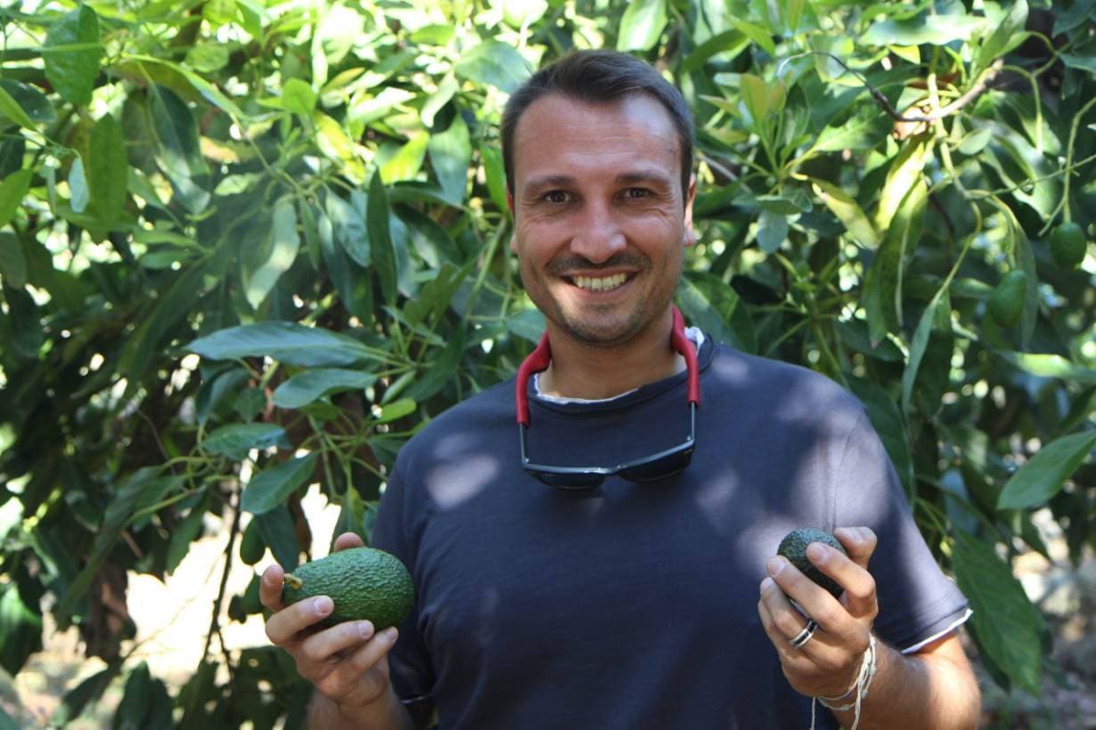 أندريا باسانيزي يحمل عينة من إنتاج بستان الأفوكادو التابع له في صقلية. تصوير ثن لي وين «رويترز »