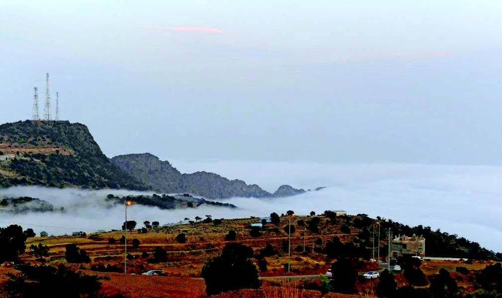 "ديوان المظالم" يطلق خدمة إلكترونية لإثبات حضور الجلسات بمحاكم الاستئناف الإدارية