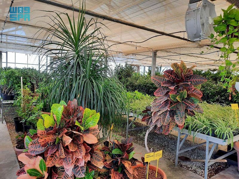 مليونا نبتة ينتجها مشتل الهيئة الملكية بالجبيل الصناعية سنويا