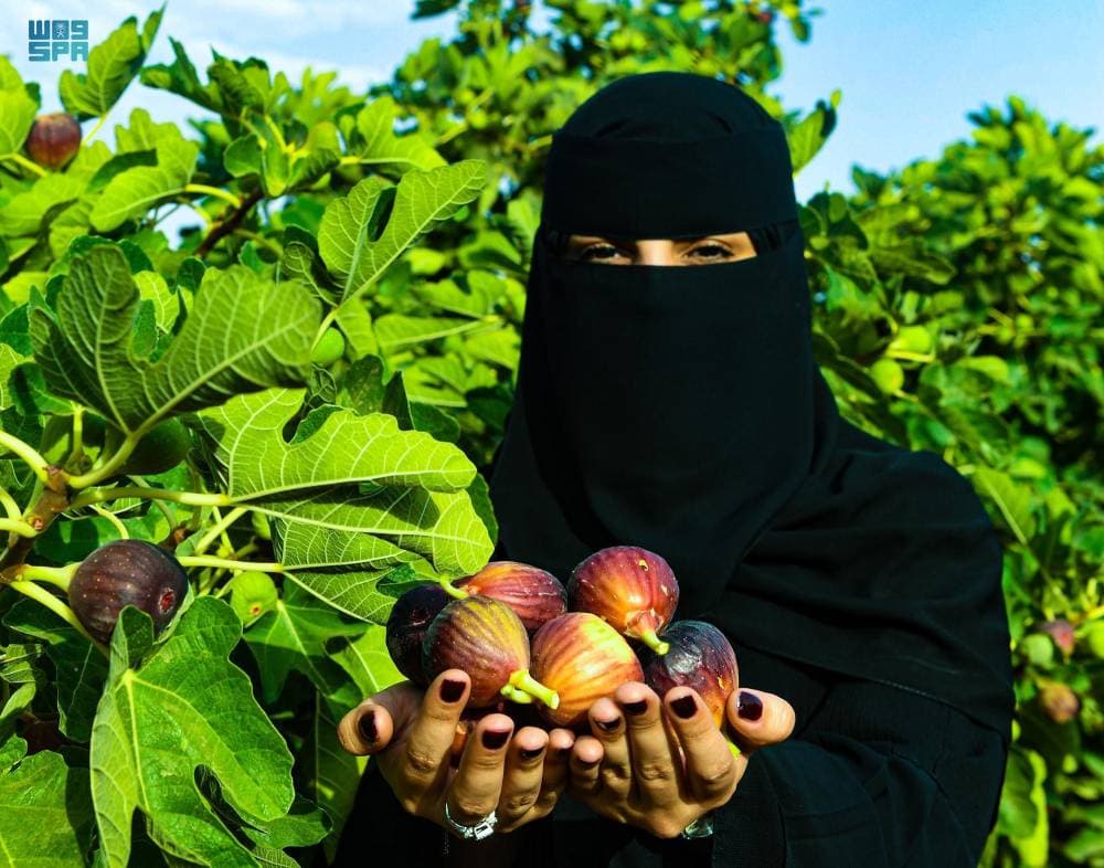 الأرجنتين تتفادى التخلف عن سداد ديون بـ 100 مليار دولار عبر زيادة الضرائب