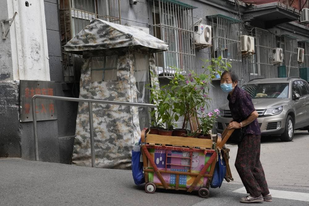 بائعة النباتات