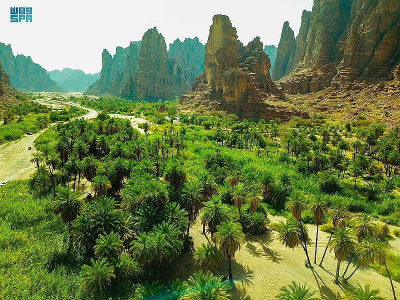 وادي الديسة يأسر زوار تبوك بتضاريسه ومغامراته في "صيف السعودية"