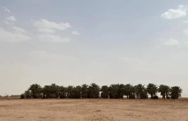 بعد إنجارها من "إحكام" .. تسليم عدد من المواطنين وثائقهم لطلبات تملك العقارات في حائل