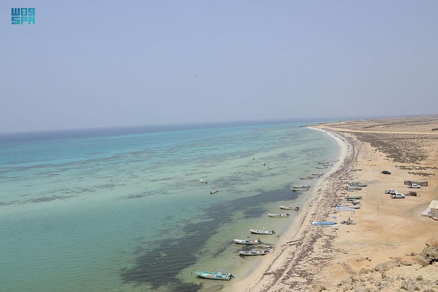 90 جزيرة.. تسجل أرخبيل فرسان في برنامج الإنسان والمحيط الحيوي