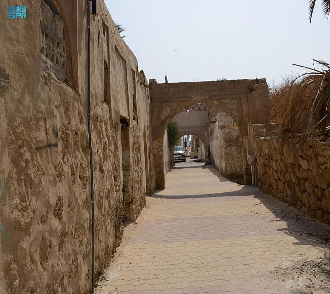 90 جزيرة.. تسجل أرخبيل فرسان في برنامج الإنسان والمحيط الحيوي