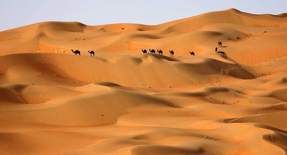 كانت بمثابة بوابة خضراء لإنسان العصر الحجري.