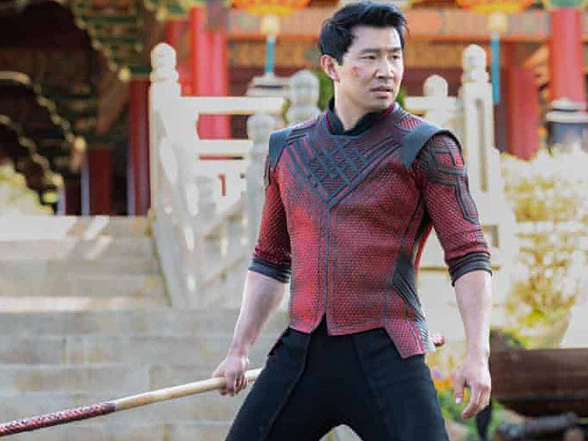 الفيلم بطولة الصيني سيمو ليو.