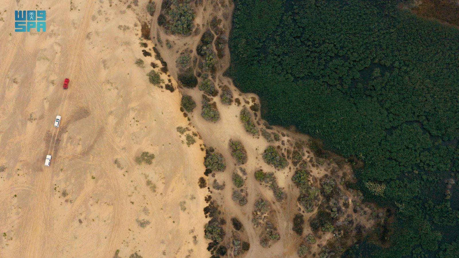 "إعمار" تستلم موافقة "المالية" على تأجيل قرض لمدة 7 أشهر