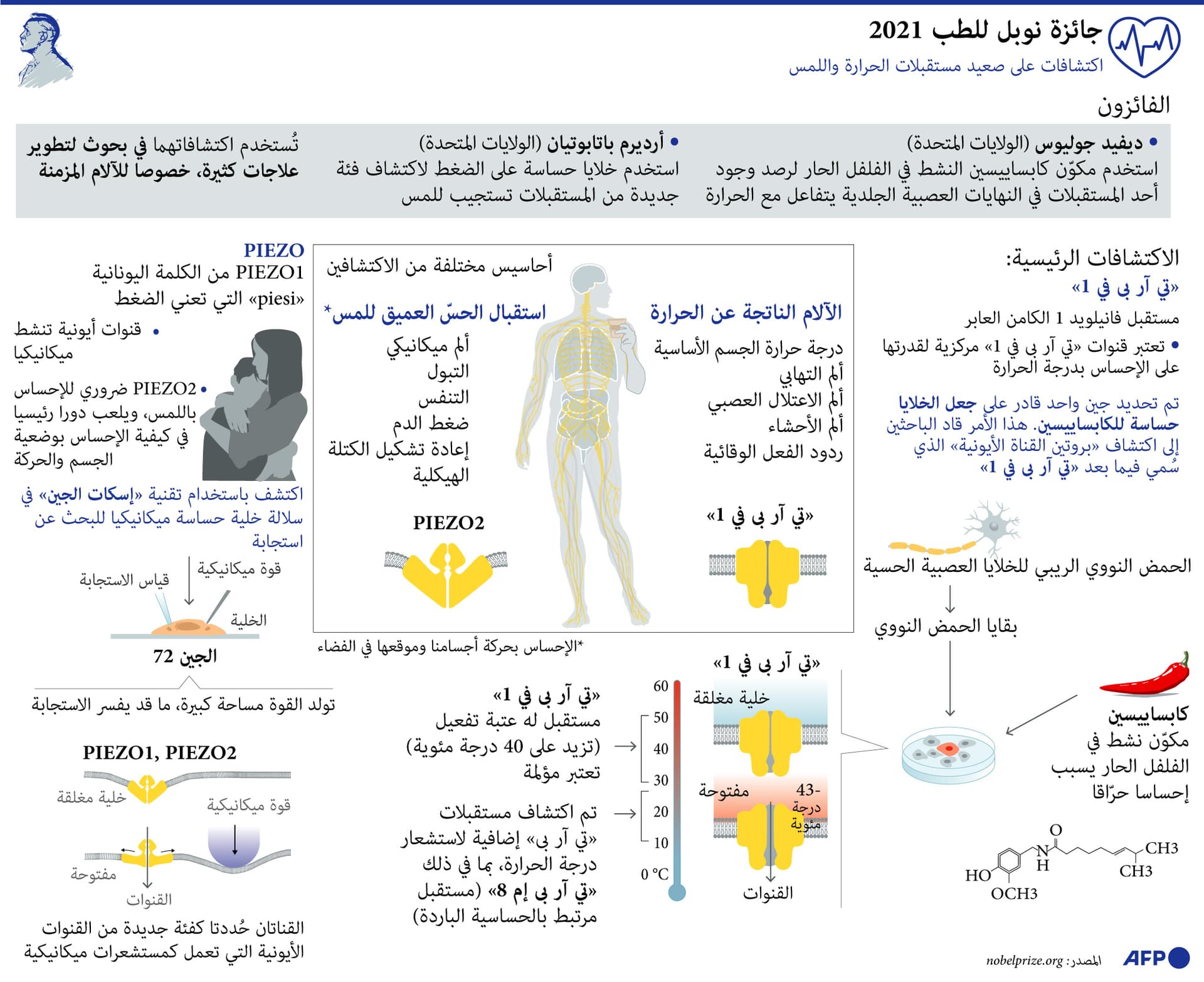 تعرف على الفائزين بجوائز "نوبل" في مجالات الطب والفيزياء والكيمياء