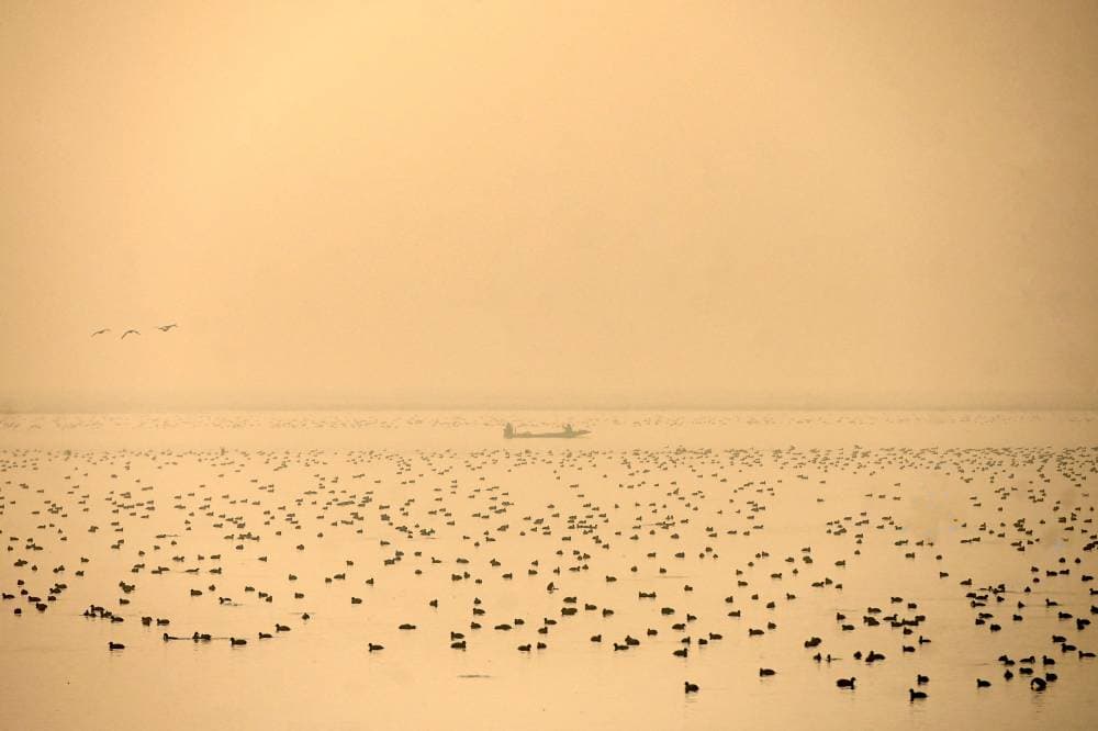 قارب يشق طريقه وسط أجواء ضبابية متقلبة في بحيرة دال في سريناغار الهندية "الفرنسية"