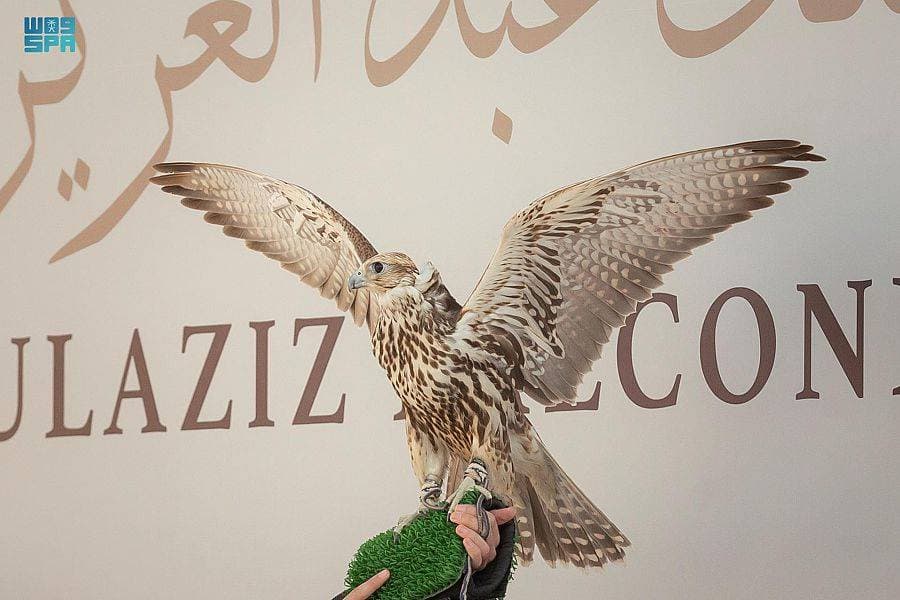 يقام مهرجان الصقور في ملهم.