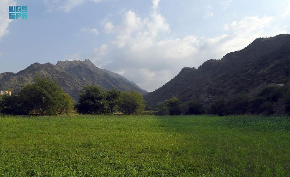"قنا".. سلة غذاء وبيئة ريفية تستقبل زوار عسير شتاءً