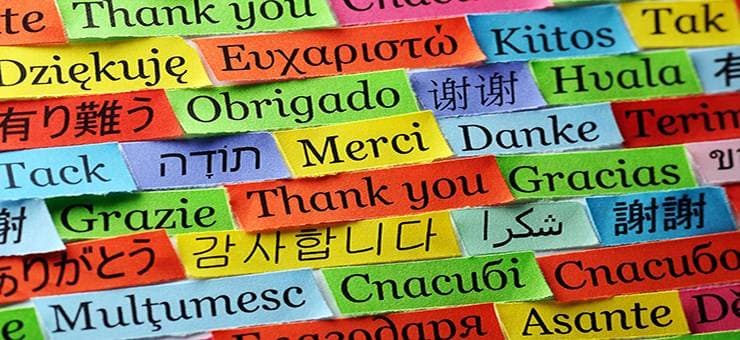 تتضمن الدراسة تحليل 51 من المتغيرات المستقلة.