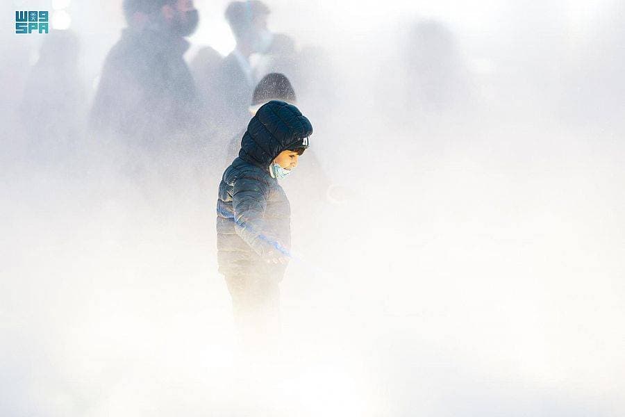 إنقاذ مشروط يضع تعافي "لوفتهانزا " في خانة المستحيل