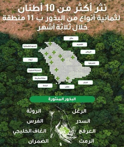 "الغطاء النباتي" : نثر 10 أطنان من البذور في 11 منطقة حول المملكة