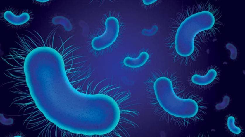 حللت الدراسة بيانات من نحو 204 دول وأقاليم.