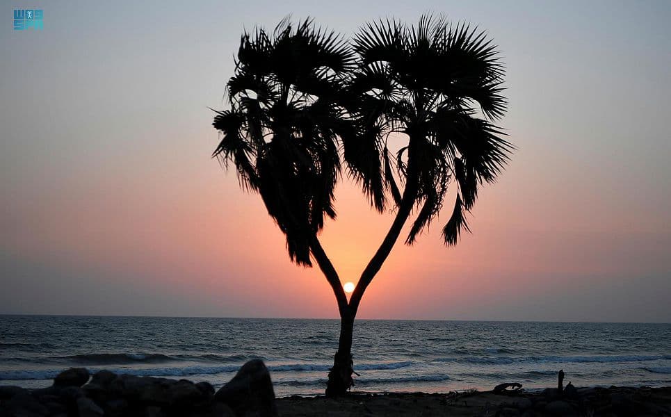 سواحل عسير .. نزهة تحت الغيم وجمال طبيعي وسط أمواج البحر