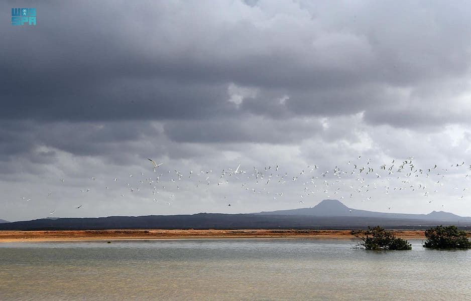 سواحل عسير .. نزهة تحت الغيم وجمال طبيعي وسط أمواج البحر