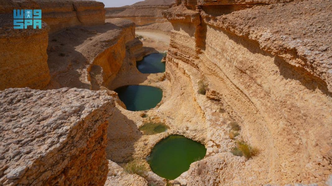 محمية الملك عبدالعزيز الملكية توقع عقودا لإنشاء منتجعين سياحيين في روضة الخفس وقلتة أم قليدة
