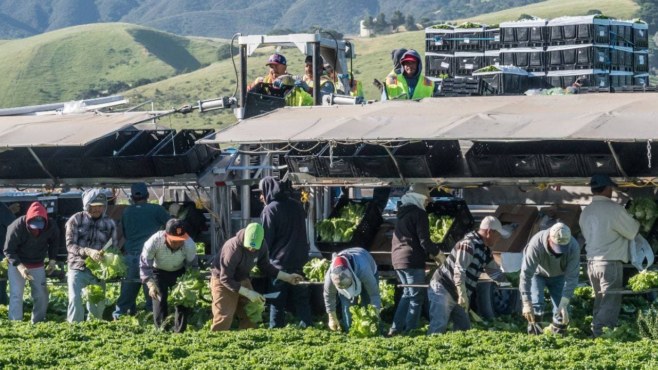 مجموعة مزارعين يعملون بالقرب من أماكن الظل. "مجموعة العمل البيئية EWG"