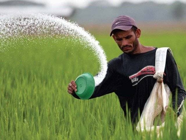 أوروبا: أكثر من 200 ألف وفاة جراء كورونا