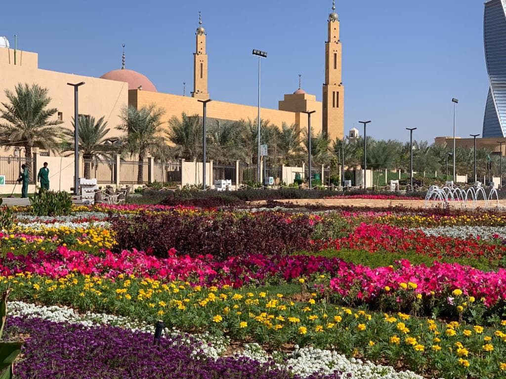 8 آلاف حديقة ومتنزه وساحة بلدية في المملكة.. مساحتها 155 مليون متر مربع