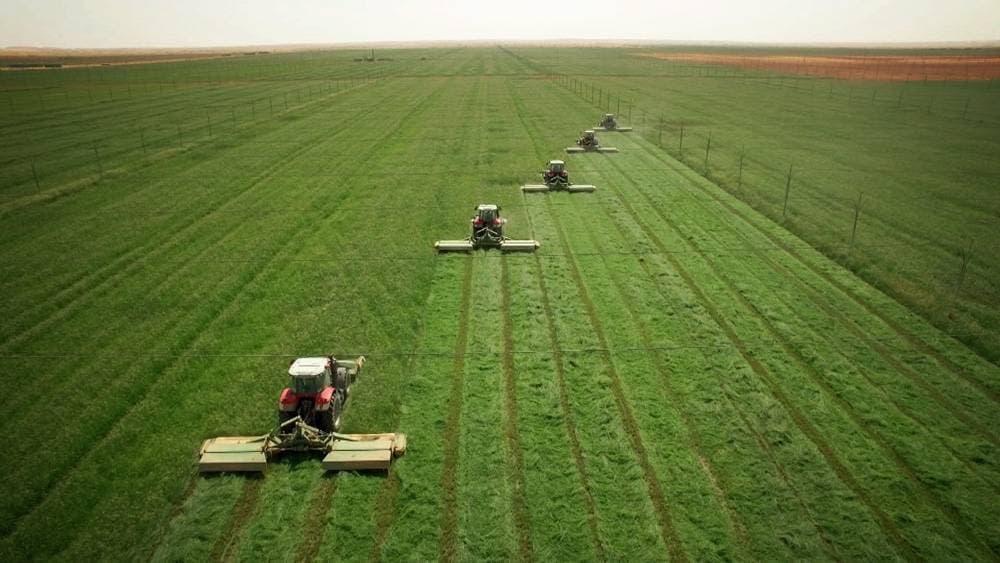 لتعزيز الأمن الغذائي السعودي .. طرح 4 فرص استثمارية لمشاريع زراعية وحيوانية