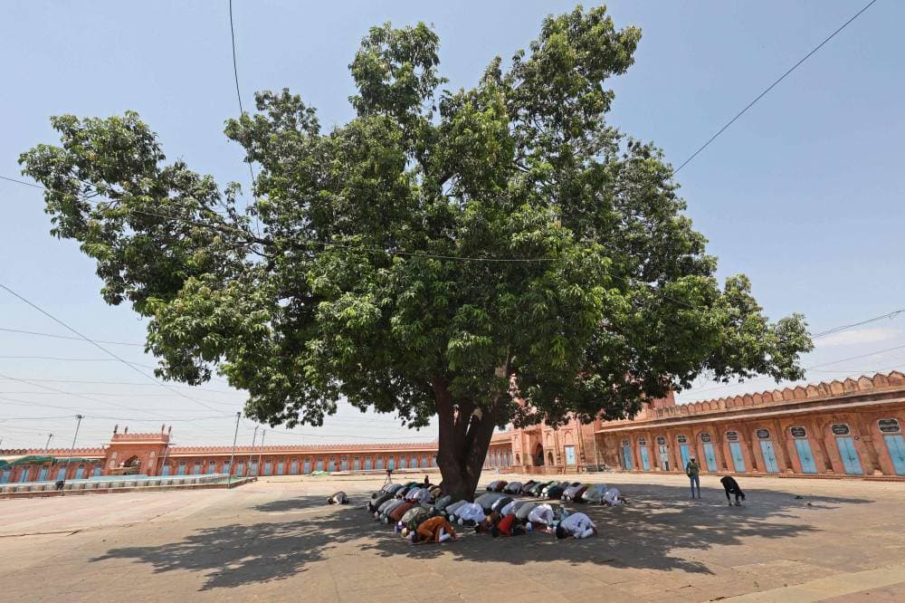 هيئة المحتوى المحلي تعدل سقف قيمة العقود عالية القيمة إلى 50 مليونا