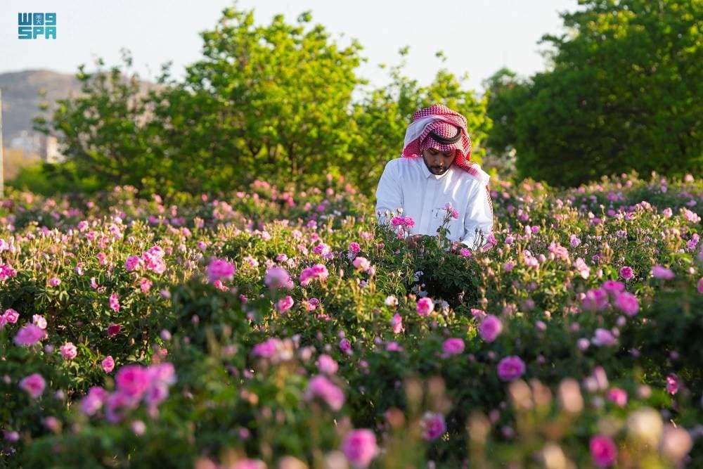 مسجد البيعة .. ذكرى أول بيعة في الإسلام