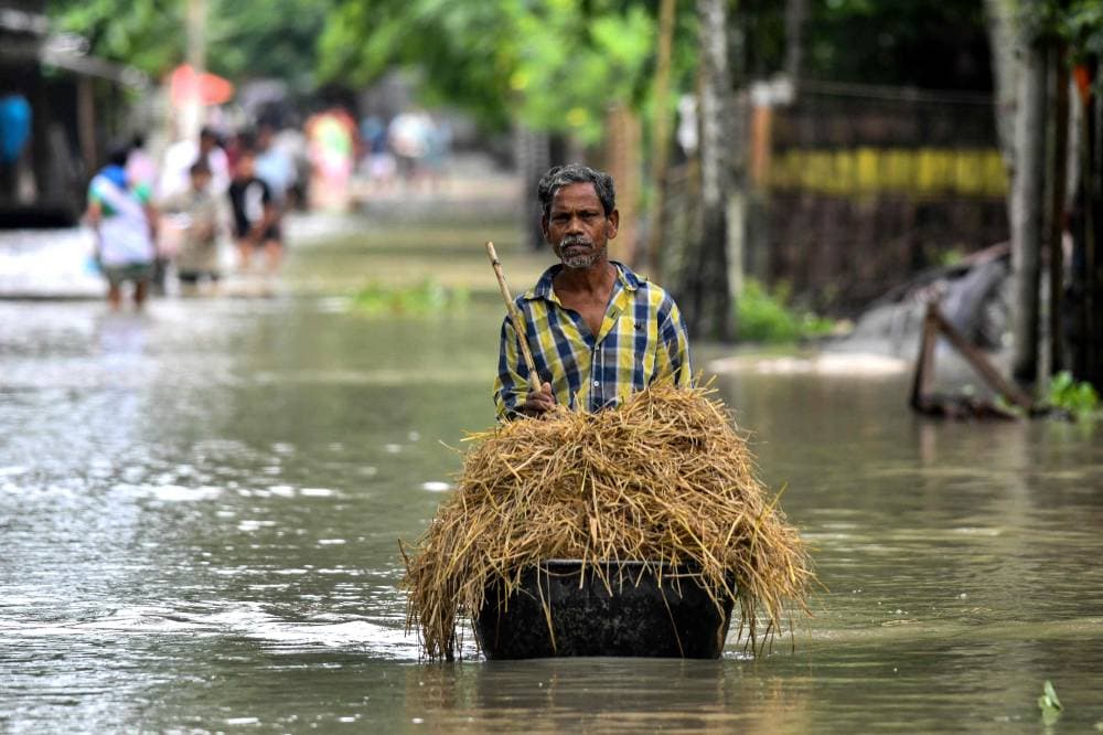 علف وفيضانات