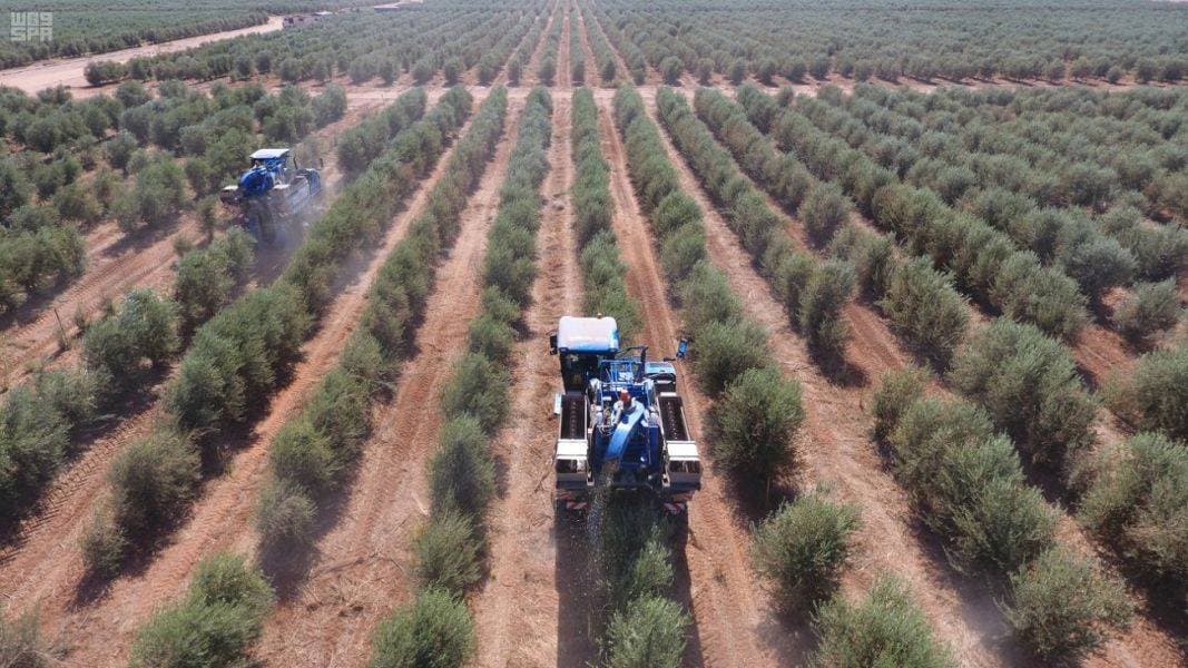 لمواجهة انهيار الليرة .. المركزي التركي يرفع فائدة المبادلة إلى 11.75 %