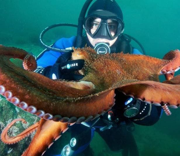  إنتاج المصانع في جنوب أفريقيا يهبط 10.8% على أساس سنوي في أغسطس 