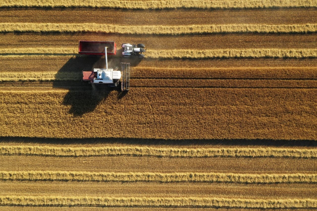 للقضاء على الجوع .. يجب رفع نسبة الإنتاج الزراعي 28% خلال عقد