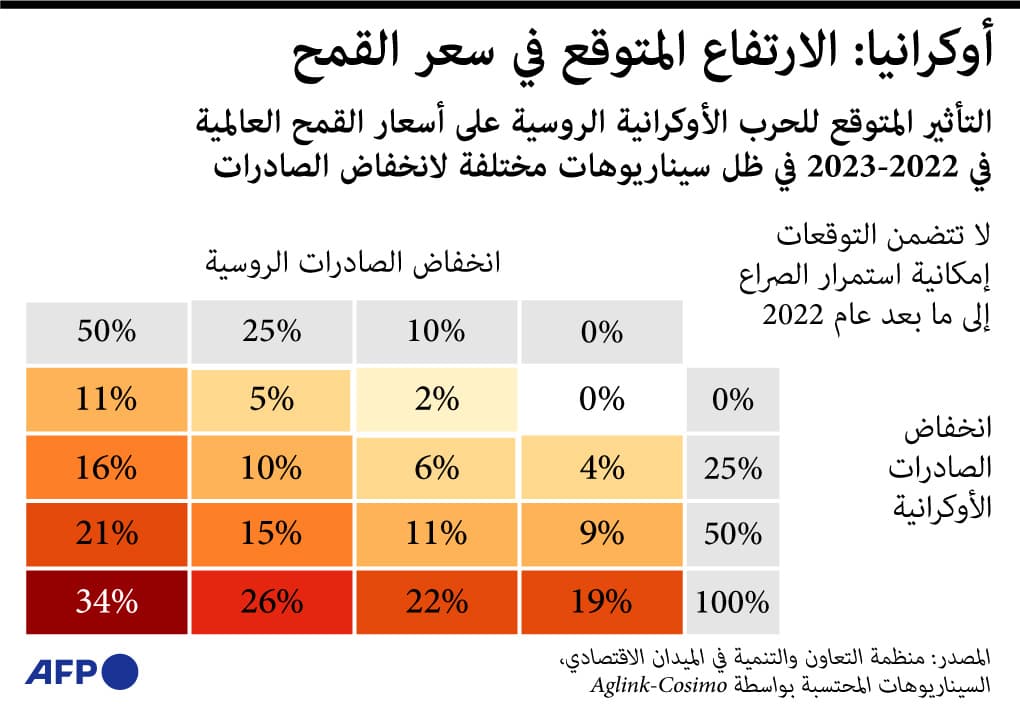 ماهو التأثير المتوقع لاستمرار الحرب في أوكرانيا على أسعار القمح في العالم؟