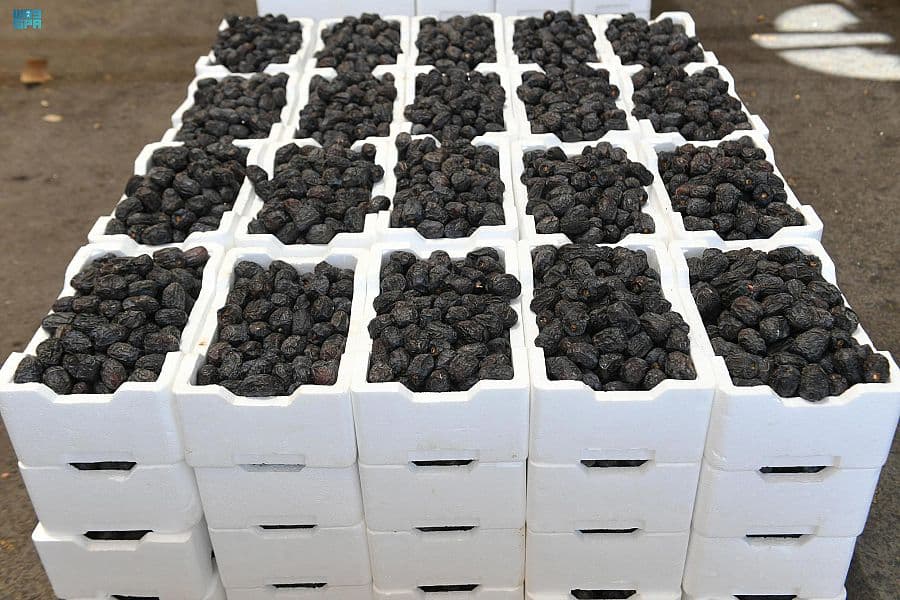 4 ملايين نخلة في المدينة المنورة ترفد الاسواق المحلية بـ 7 أنواع من التمور