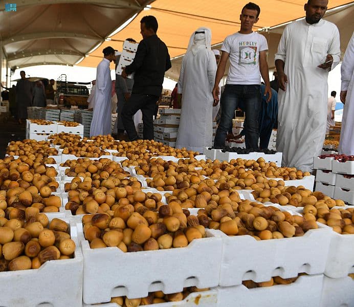 4 ملايين نخلة في المدينة المنورة ترفد الاسواق المحلية بـ 7 أنواع من التمور