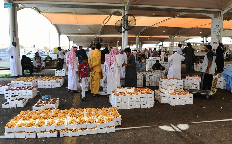 4 ملايين نخلة في المدينة المنورة ترفد الاسواق المحلية بـ 7 أنواع من التمور