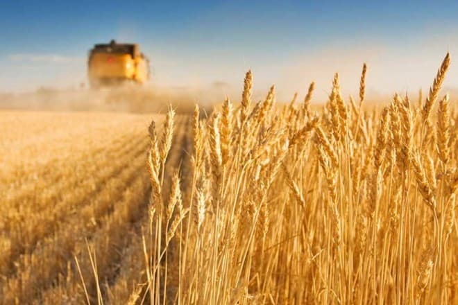 توقيع عقد لتمويل استيراد 130 ألف طن من الشعير بـ 150 مليون ريال