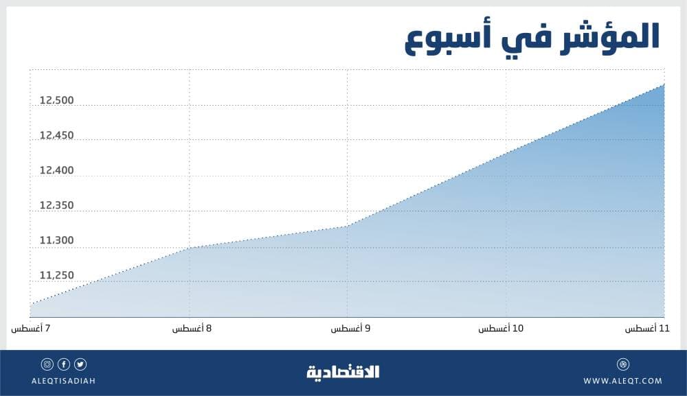 الأسهم السعودية تقترب من 8600 نقطة .. والشركات الخاسرة تتصدر الارتفاعات مع تزايد المضاربات